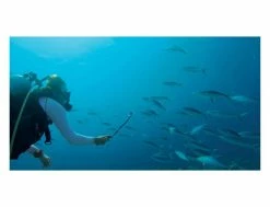 GoPro 3-Way Grip 32 GoPro 3-Way Grip -Side-Shore Soldes Magasin gopro 3 way grip 14