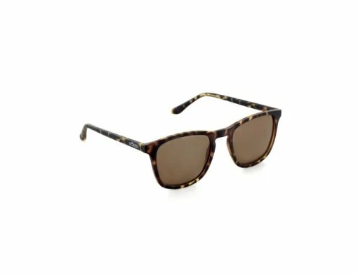 Hank Tortoise Brown POLARIZED -Side-Shore Soldes Magasin hank tortoise brown polarized moken vision