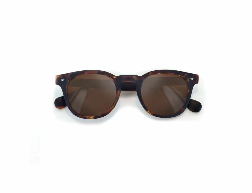 Woody Tortoise Cork Polarized 3 Woody Tortoise Cork Polarized